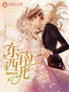 幻想纹章3.1